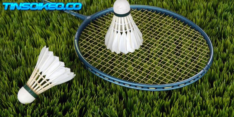 Cá cược cầu lông là gì?