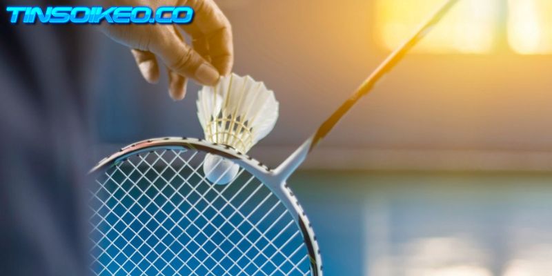 Luật chơi cá cược cầu lông dễ hiểu cho tân binh