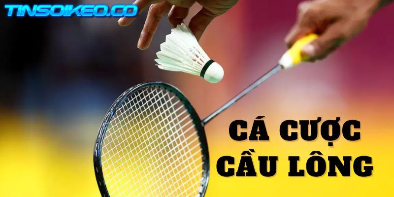 Quy trình tham gia trải nghiệm cá độ cầu lông